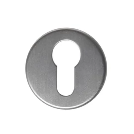 Cilinderes rozetta (Alu)